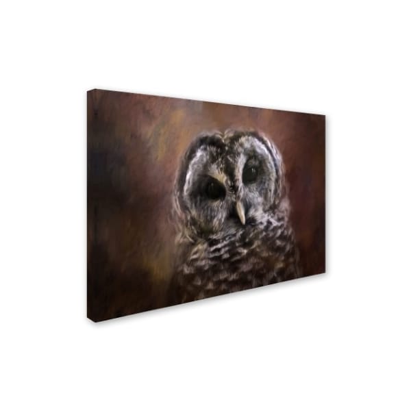 Jai Johnson 'The Curious Owl' Canvas Art,18x24